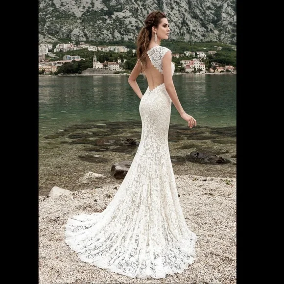 Wedding Dress- Brand New never worn lace fit and flare wedding dress - Picture 1 of 5